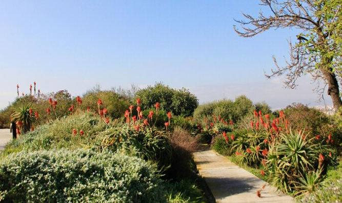 Johannesburg Botanical Gardens