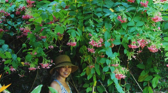 Visit the Stellenbosch Botanical Garden